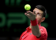 雷火电竞网站-戴维斯杯轻取法网，德约科维奇关键制胜的简单介绍