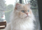 雷火电竞官网-独行侠大胜背后，一个法国少年，如何预演了三年后的世界终结？