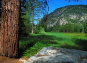 雷火电竞充值-一斧劈开黎明，奥利奇的雷霆一击与格子军团的加冕之路