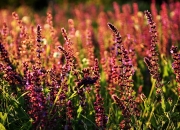 雷火电竞官网-跨界硬仗，当浙江队的铁血遇上利拉德时刻