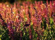 雷火电竞官网-跨界硬仗，当浙江队的铁血遇上利拉德时刻