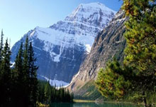 雷火电竞充值-广东主场对阵福建队，壮观比拼