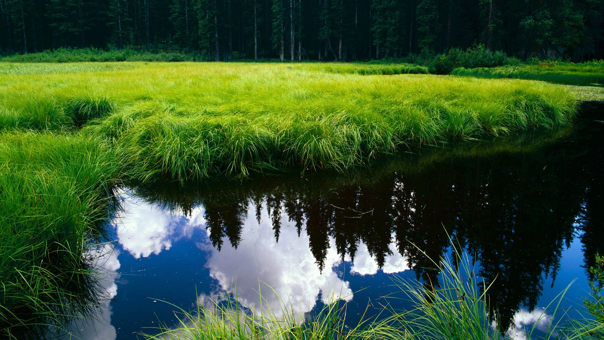 关键先生迪巴拉两连斩，罗马强势攻克那不勒斯，争冠格局生变