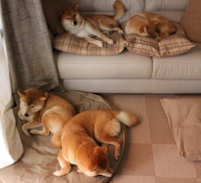 孤胆破京门，生死战霍勒迪临危救主，浙江绝境突围记