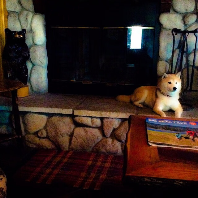 北极光与草原雄鹰的相遇，若日尼奥在芬兰与乌拉圭的矛盾之战中编织中场魔法