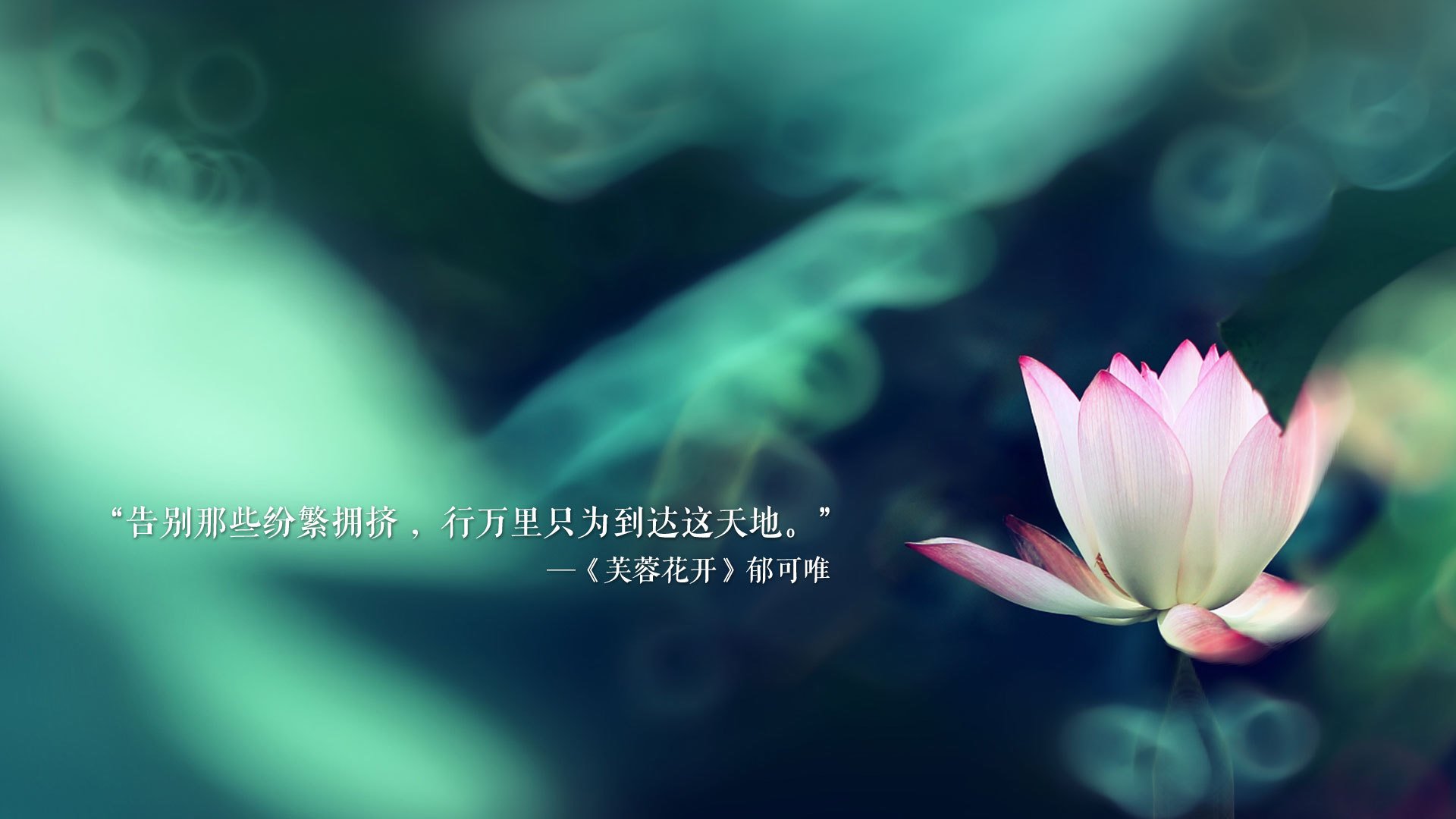 中亚雄狮的怒吼,2026世界杯G组,乌兹别克斯坦逆袭西班牙,阿诺德一人闪耀全场